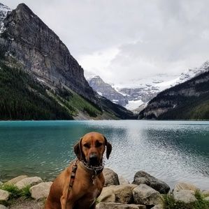 Meet your Posher, Marie